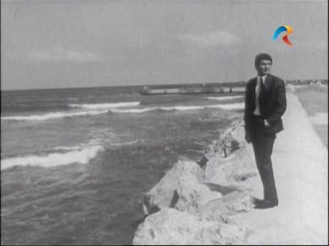 Constantin Draghici - Culori