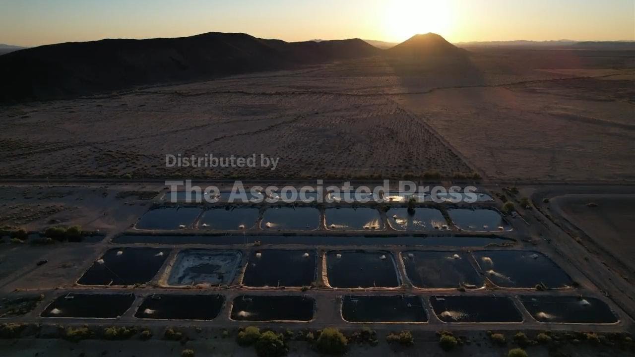 In Arizona desert, fish farms may help water crops