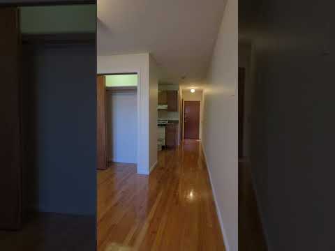 Stunning Studio 1 Bath - Boston on Wait St Avail Now $1500