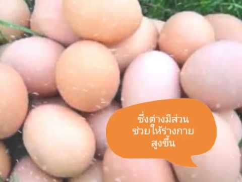 โหระพาแรงสมุนไพร การรักษาความปลอดภัยเพิ่มขึ้นในอำนาจ