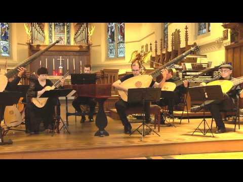 Allemanda gravis by Henry Du Mont