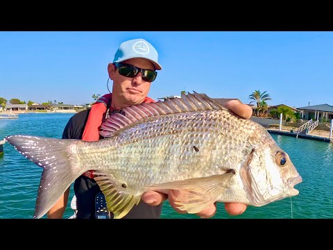 BIGGER BREAM - Tips For Catching MORE BIG FISH in canals