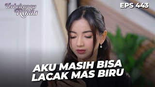 Download lagu Mas Biru Ilang Lagi! Amira Cemas Karena Gak Ada Kabar  | TERBELENGGU RINDU | EPS. 443 (4/4) mp3