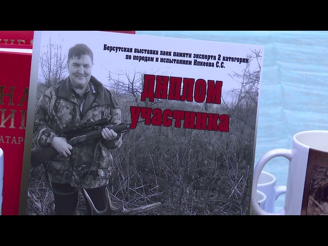 В поселке Новый Мамадышского района прошла выставка охотничьих собак породы лайка