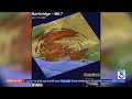 USGS Reveals Intensity Of Northridge Quake In New Video