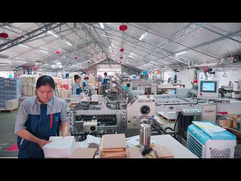 TVC CONG TY IN THANH BINH 4K