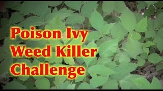 Poison Ivy Tough Weed Killer Challenge- 3 Different Sprays