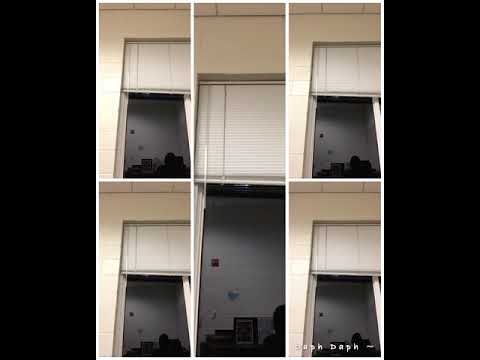 Makedonska Humoreska for SSA — Todor Skalovski