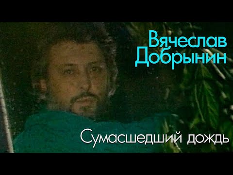 Вячеслав Добрынин - Сумасшедший дождь