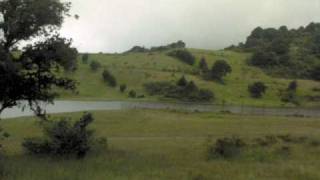 diganle-conjunto primavera