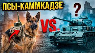 DE Псы-камикадзе: как собаки остановили танки?