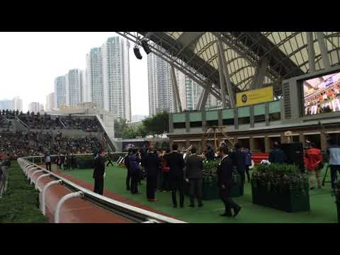 Parade Ring at Sha Tin