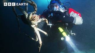 Marine Biologist Takes a RISKY Plunge into a Frozen Lake | Fishing Impossible | The Travel Edit