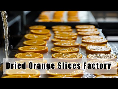 How a Factory Produces Dried Orange Slices