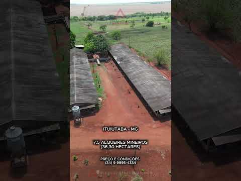 Fazenda à venda em Ituiutaba com 7,5 alqueires mineiros - Triangulo Mineiro - Minas Gerais