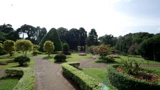 preview picture of video 'Im botanischen Garten Peradeniya (Sri Lanka) // Botanic Garden Peradeniya'