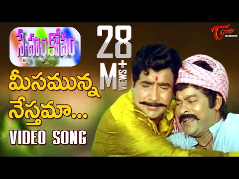 Sneham Kosam | Meesamunna Nesthama Song | Chiranjeevi, Vijay Kumar | TeluguOne