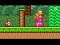 SMB2 Peach Farts On Mario Reanimated