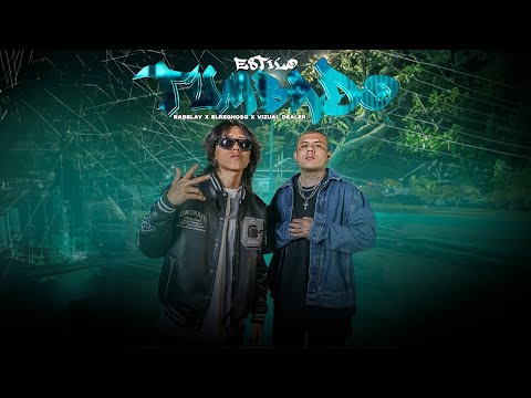 Rabelay and Vizual Dealer