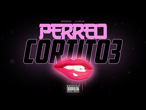 PERREO CORTITO 3 - BRIANMIX ✘ DJ SILVA - RKT