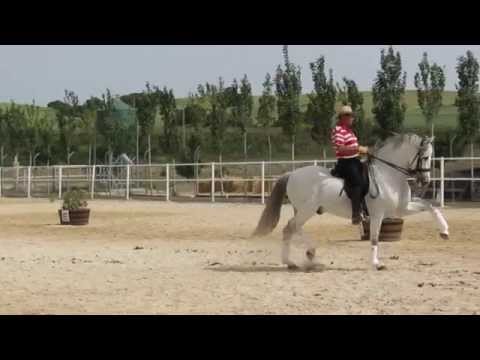 QUERQUS AZORES & RAFAEL SOTO