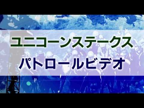 ユニコーンステークス　2020  パトロールビデオ　(カフェファラオ)