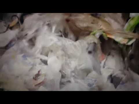 the 1975, ft Greta Thunberg, remix (ununofficial)