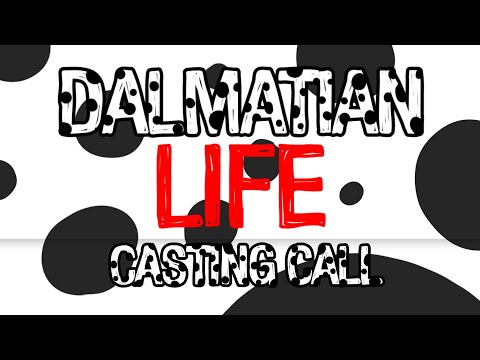 Dalmatian Life Casting Call