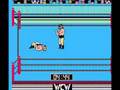NES WCW World Championship Wrestling Single Ric Steiner Two Match Sampler