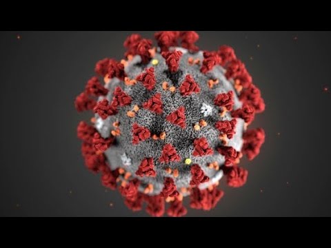31 Gennaio 2020 - Coronavirus COVID-19 , vi fa paura? Io un po' di preoccupazione ce l' ho