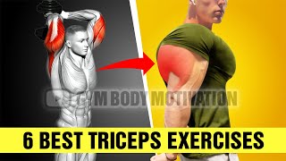 The Best Triceps Workout for Mass (6 Effective Exercises)