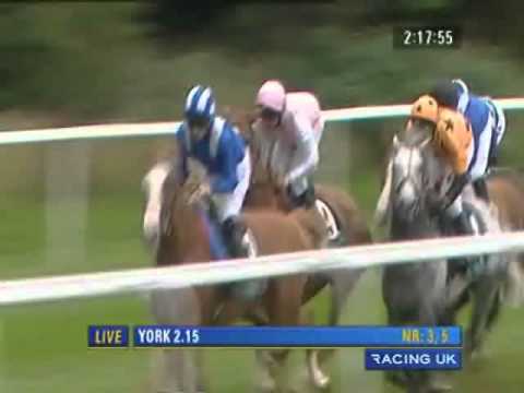 York Ebor Festival 2010 - Weatherbys Insurance Lonsdale Cup