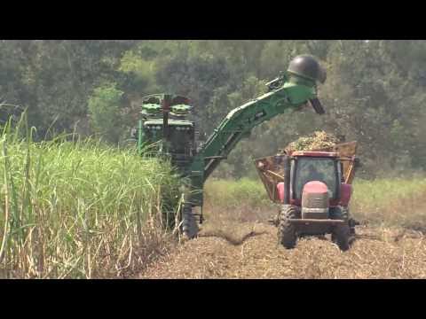 The Best Is Yet To Come - American Sugar Cane League