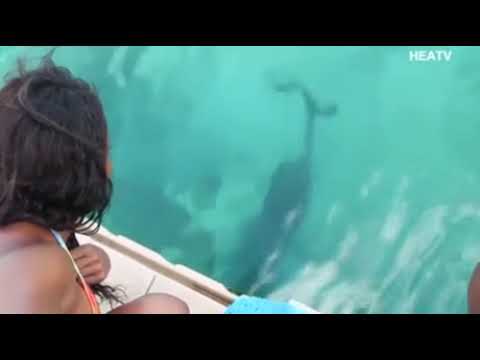 Уронили телефон в воду на Багамах? Не беда!