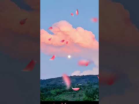 #oiba #turismo #amanecer #seguimi #travel