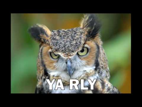 Au Revoir Simone - Sad Song Danton Eeprom Remix