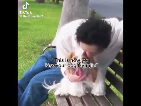 I CANT NOT HYUNJIN FRENCH KISSING HIS DOG #shorts #foryou #fyp #skz #straykids #hyunjin #kkami