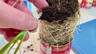 How to Make Salad from Soup