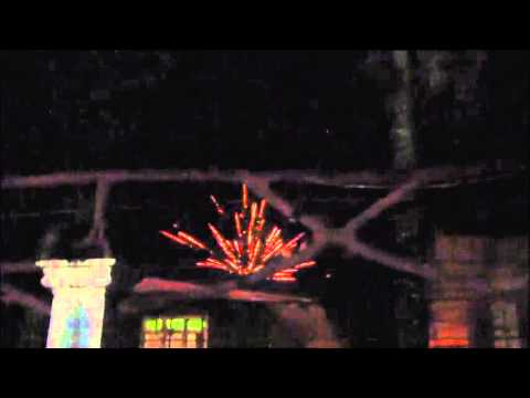 new year 2014 (morales family)