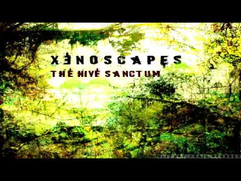 Xenoscapes 08   Xenoscapes   You Majesties Lair Minimal Techno Zenonesque 🎵 MW ©️ Music