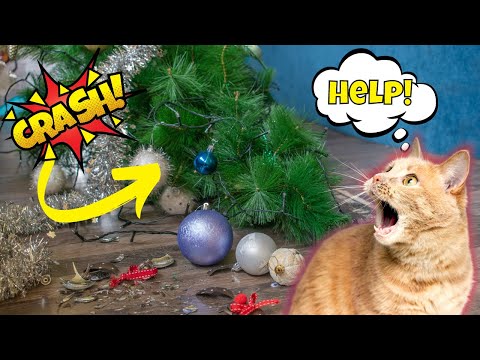 How to Cat-Proof Your Christmas Tree (10 Tips & Tricks)