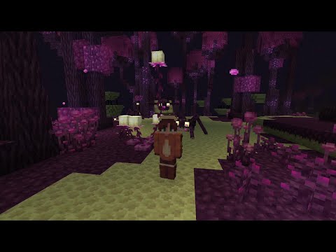 Updated End?! Endergetic Expansion Mod! - Minecraft Mod Minis