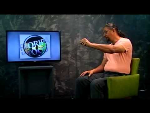 Floripa em Foco do SINTE com o Prof. Luiz Carlos Vieira - 26/08/15