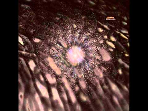 Luciano - Rise Of Angel (Mirko Loko Remix)