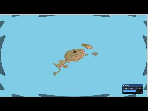 Ripple Fish OpenGL