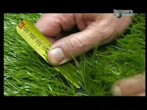 Jak vzniká umělý trávník?