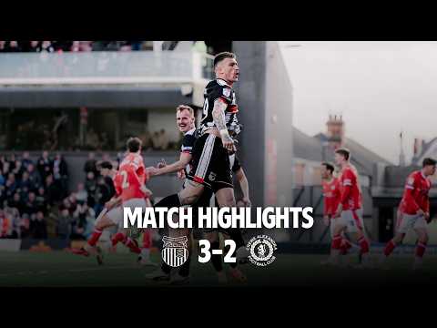 bg-highlight