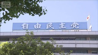 石破総理退陣論高まる中…自民党 午後に両院議員総会(2025年8月8日)