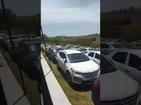 ensaio regional Ribeirão Bonito