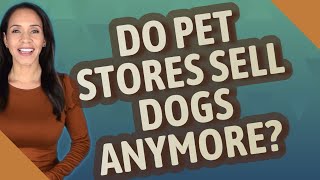 Do pet stores sell dogs anymore?